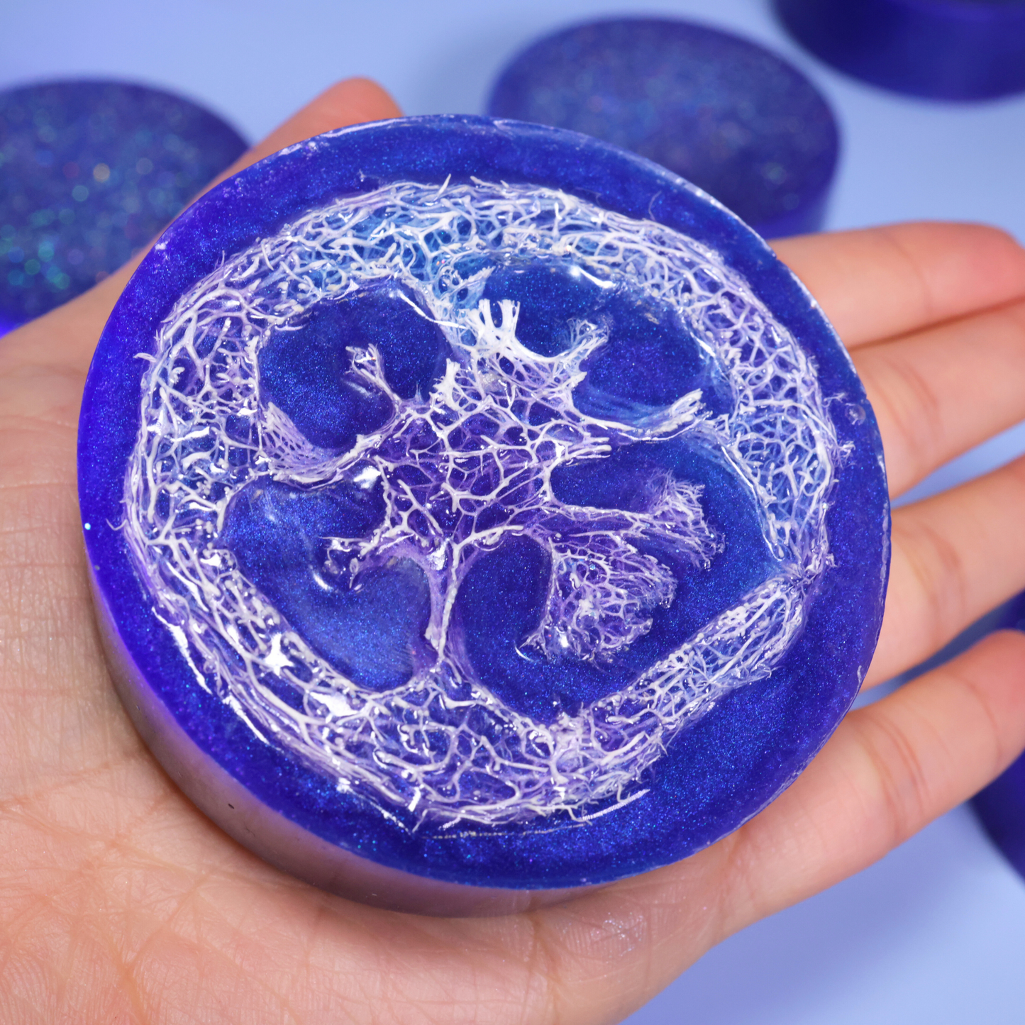 Galaxy loofah soap